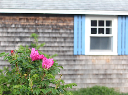 Rent a Wellfleet Cottage, Cape Cod, MA